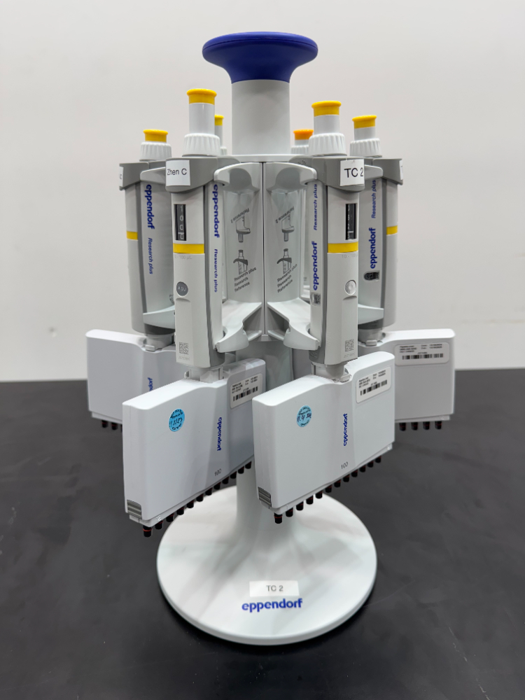 Image of Eppendorf Multi Channel Pippets; Quantity: 6